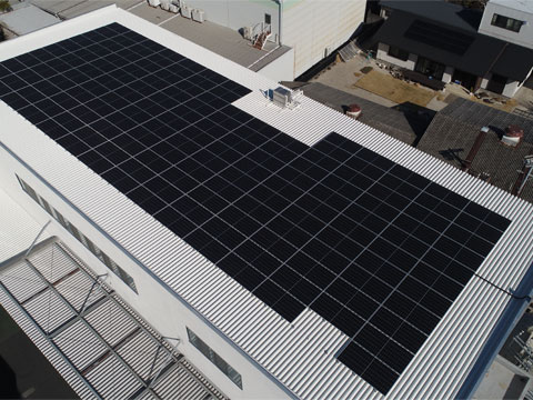 ���z�����d�V�X�e��